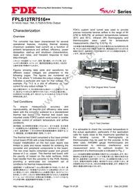 FPLS12TR7516PA Datasheet Page 10