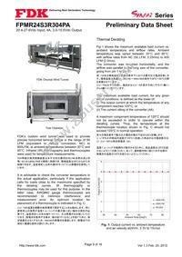 FPMR24S3R304PA Datasheet Page 9