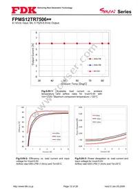 FPMS12TR7506PA Datasheet Page 12