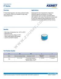 FT0H105ZF Datasheet Cover