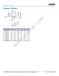 FT0H105ZF Datasheet Page 2