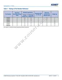 FT0H105ZF Datasheet Page 4