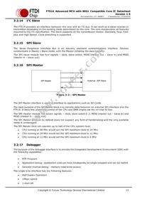 FT51CS-R Datasheet Page 15