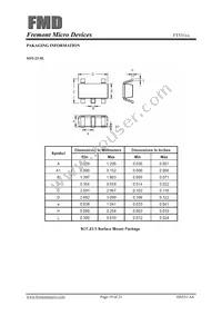 FT531JA Datasheet Page 19