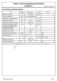 FY2500117 Datasheet Page 3