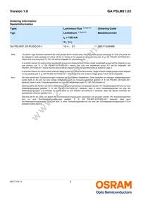 GA PSLM31.23-FUGQ-23-1-100-R18 Datasheet Page 2