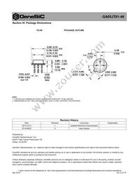 GA05JT01-46 Datasheet Page 10