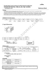 GA342D1XGF180JY02L Datasheet Cover