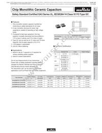 GA355DR7GC221KY02L Datasheet Page 10