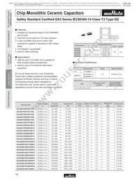 GA355DR7GC221KY02L Datasheet Page 13