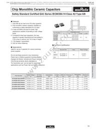 GA355DR7GC221KY02L Datasheet Page 14