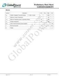 GHIS020A060B1P2 Datasheet Page 7