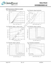 GHIS080A060S-A2 Datasheet Page 4