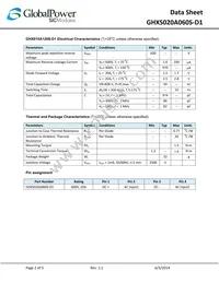 GHXS020A060S-D1 Datasheet Page 2