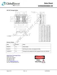 GHXS020A060S-D4 Datasheet Page 4