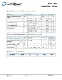 GHXS060A120S-D4 Datasheet Page 2