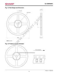 GL100MN0MP1 Datasheet Page 10