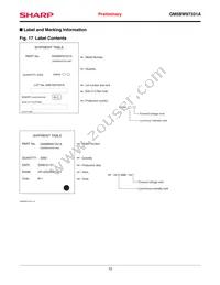 GM5BW97331A Datasheet Page 13