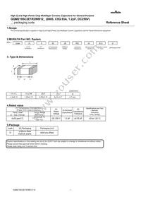 GQM2195C2E1R2WB12D Datasheet Cover