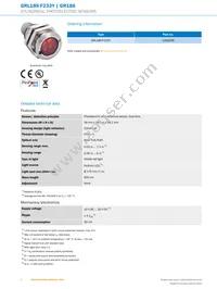 GRL18S-F233Y Datasheet Page 2