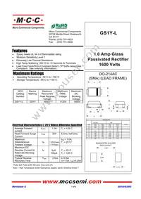 GS1Y-LTP Datasheet Cover