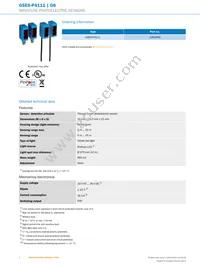 GSE6-P4111 Datasheet Page 2