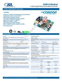 GSM15-12 Datasheet Cover