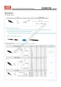 GSM25B07-P1J Datasheet Page 4