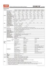 GSM25E24-P1J Datasheet Page 2
