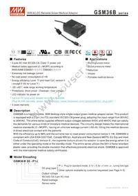 GSM36B48-P1J Datasheet Cover