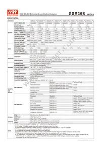 GSM36B48-P1J Datasheet Page 2