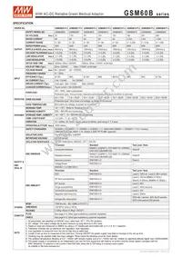 GSM60B48-P1J Datasheet Page 2