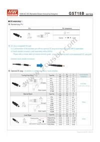 GST18B48-P1J Datasheet Page 4