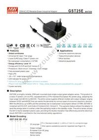 GST25E48-P1J Datasheet Cover