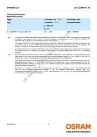 GT CS8PM1.13-LQLS-26-1-350-B-R18 Datasheet Page 2