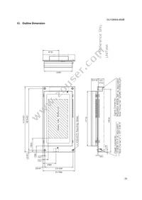 GU128X64-800B Datasheet Page 21