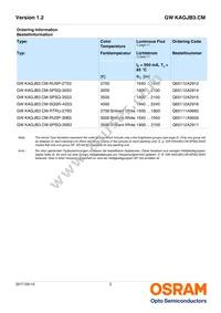 GW KAGJB3.CM-SPSQ-40S3 Datasheet Page 2