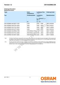 GW KAGMB3.CM-SRSS-27S3 Datasheet Page 2