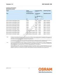 GW KAHJB1.CM-SRSS-40S3-T02 Datasheet Page 2