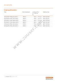 GW QSLR31.PM-LYL1-XX55-1-150-R18 Datasheet Page 2