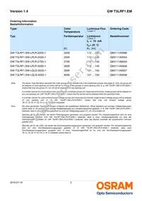 GW T3LRF1.EM-LQLS-40S5-1 Datasheet Page 2