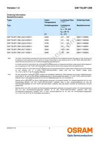 GW T3LSF1.EM-LRLT-40S5-1 Datasheet Page 2