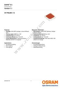 GY PSLM31.13-HQHS-5F5G-L2M2-100-R18 Datasheet Cover