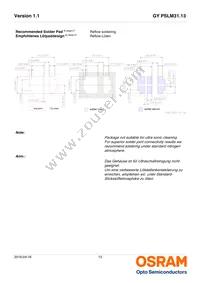 GY PSLM31.13-HQHS-5F5G-L2M2-100-R18 Datasheet Page 13