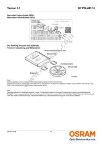 GY PSLM31.13-HQHS-5F5G-L2M2-100-R18 Datasheet Page 17