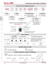 HB215SKG03CE-JB Datasheet Page 3