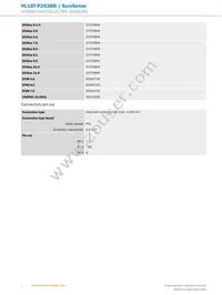 HL18T-P2G3BB Datasheet Page 4