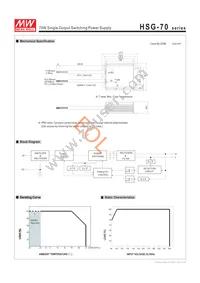 HSG-70-48 Datasheet Page 2