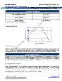 HVAM36FBC100M Datasheet Page 2