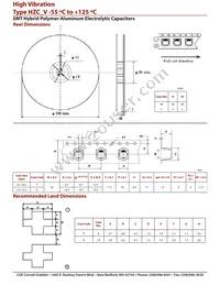 HZC107M050G24VT-F Datasheet Page 4